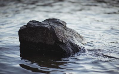 Bestattungsunternehmen in Österreich