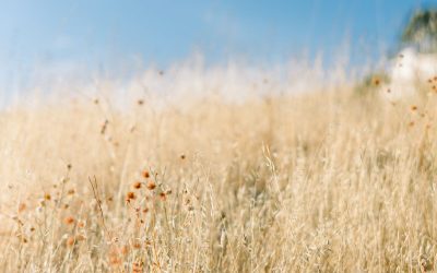 Gedanken Zitate Gefühl