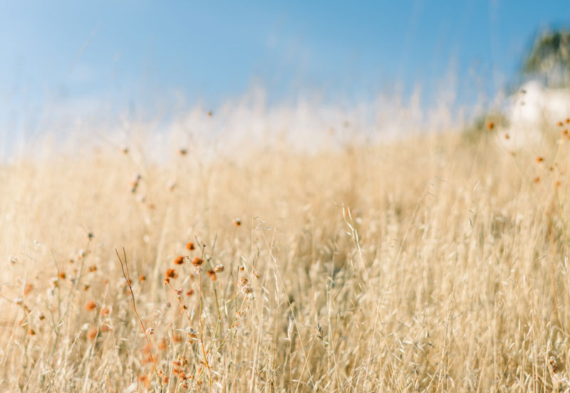 Gedanken Zitate Gefühl